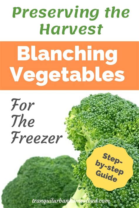 Easy Step-By-Step Guide to Blanching Vegetables For Freezing | Healthy Fresh Homegrown by ...