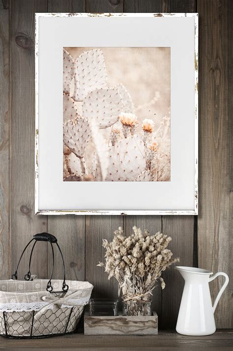 Cactus Photography Brown Wall Art Nature Photography Taupe - Etsy