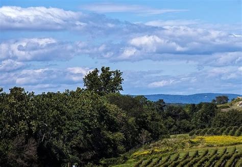 Save on Monticello Wine Trail Tour | Green Vacation Deals