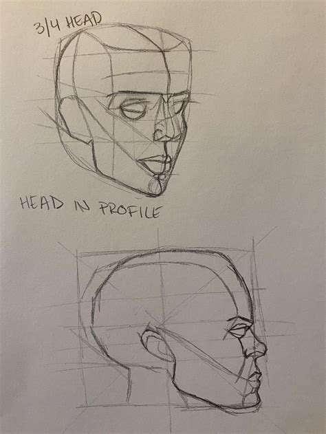 Head Drawing Basics | Skillshare Student Project