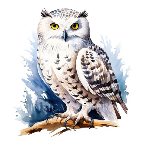 Snowy Owl Clipart, Bird Clipart, Watercolor Snowy Owls, Owls ...