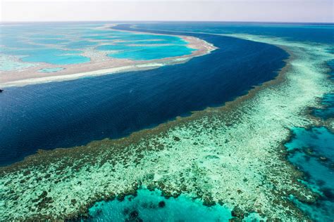 The Great Barrier Reef is in very poor shape, suggests report | Times of India Travel