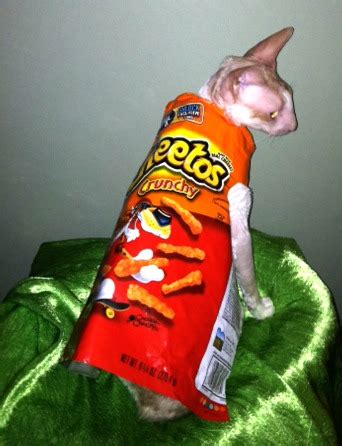 Cheetos Cat Costume