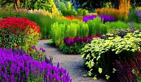 Tips to maintain a flowers garden – Gardensy