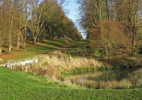 Dog walk at Castle Howard Arboretum · Yorkshire (North) · Walkiees