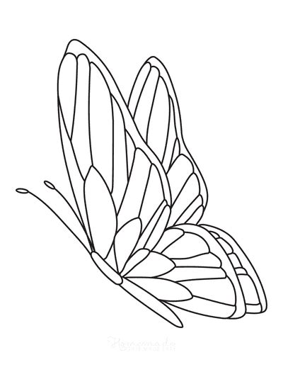 Free Butterfly Coloring Pages for Kids & Adults