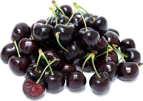 Yahooo! The Black Republican Cherry is... - C.J. Olson Cherries | Black cherry tree, Cherry, Fruit