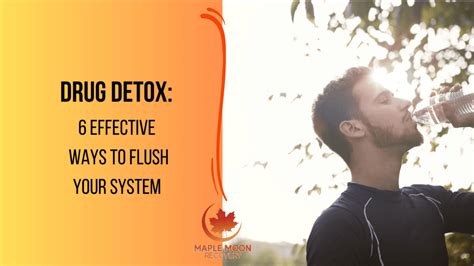 Drug Detox: 6 Effective Ways to Flush Your System - Maple Moon Recovery