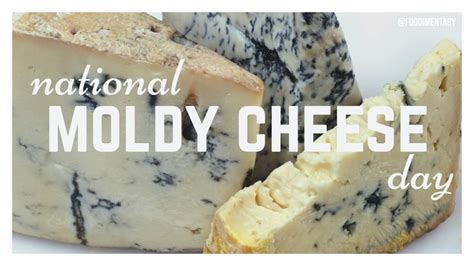 October 9th is National Moldy Cheese Day! 🧀🧀 | Cheese day, Moldy cheese, Holiday recipes