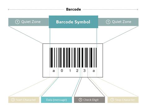 How Does A Barcode System Work Explained By Professio - vrogue.co