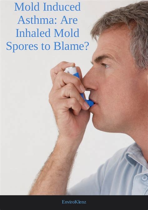 Mold Induced Asthma: Are Inhaled Mold Spores to Blame?