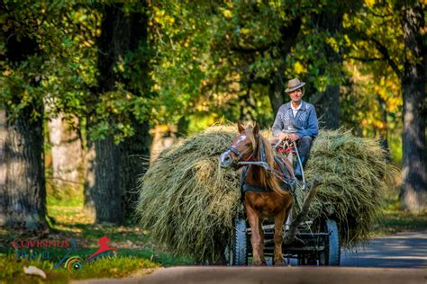 Countryside tour of Romania - Covinnus Travel