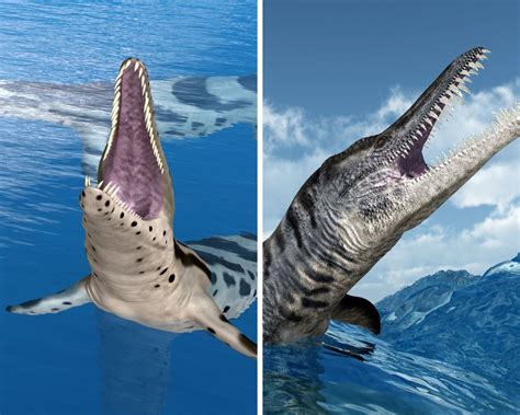 Kronosaurus Vs. Liopleurodon: Can Lio Win? | Dino Digest