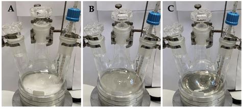 Organic Syntheses Procedure