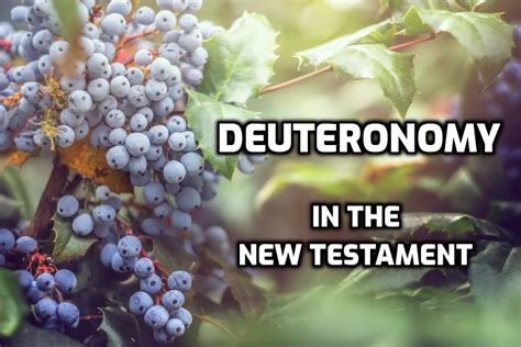 Deuteronomy quotes in the New Testament - Wednesday in the Word