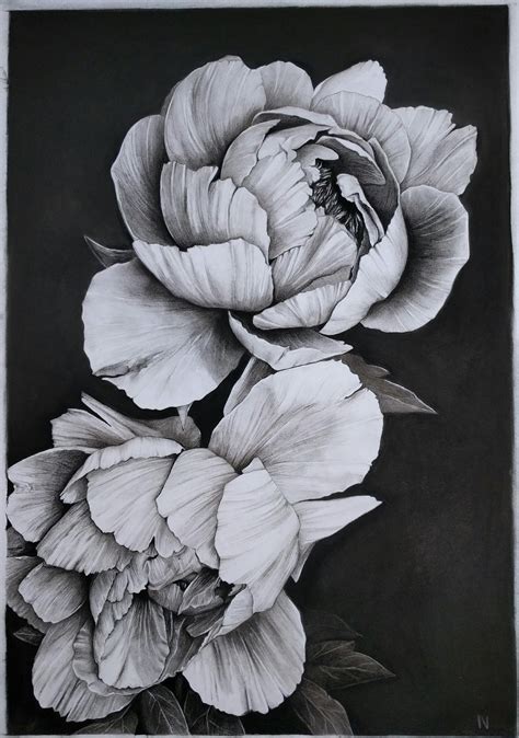 Charcoal Pencil Drawing Flowers