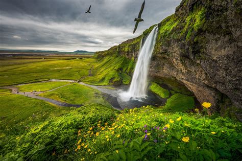 Summer Seljalandsfoss