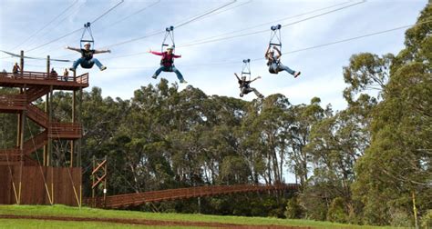 Maui Zipline Tours | Photos & Local Tips for Ziplining in Maui