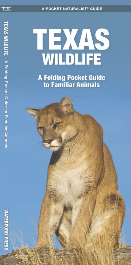 Texas Wildlife Pocket Guide