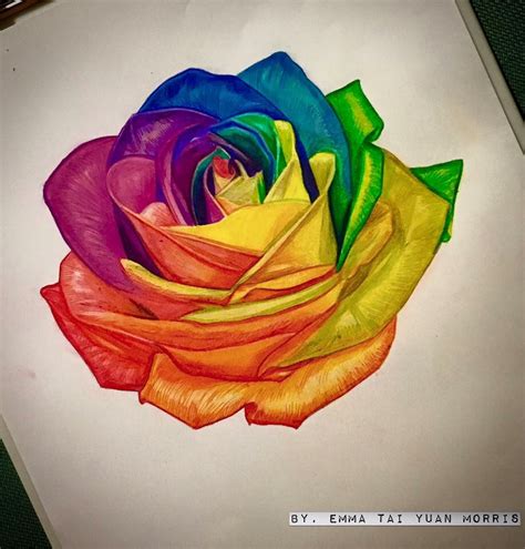 Rainbow rose artwork:) Personally hand drawn. #colorrealism #color # ...