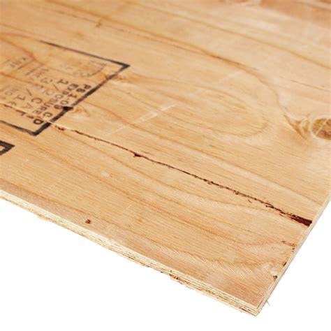 1/2" 4' x 8' CDX DOUGLAS FIR 5-PLY PLYWOOD