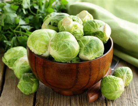 14 Best Brussels Sprout Varieties to Grow at Home (with Pictures ...