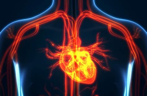 Leaky Heart Valve - Penn Medicine