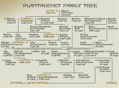 Picture | Family tree, Genealogy history, Royal family trees