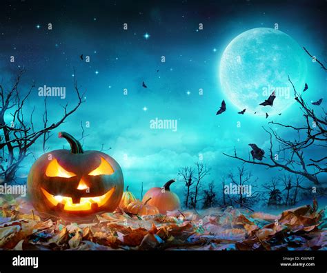 Pumpkin Glowing At Moonlight In The Spooky Forest - Halloween Scene Stock Photo - Alamy