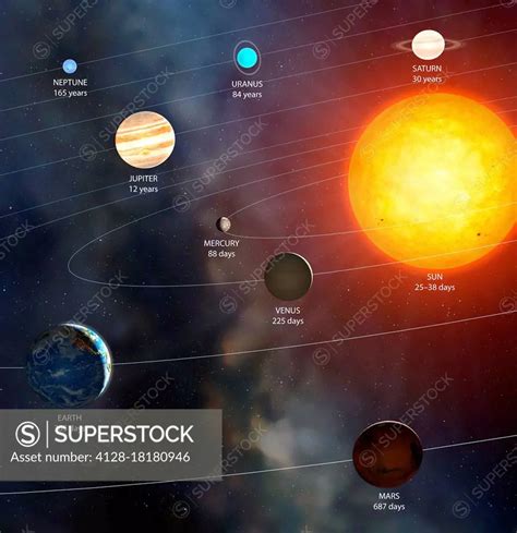 Solar System orbital periods, illustration - SuperStock