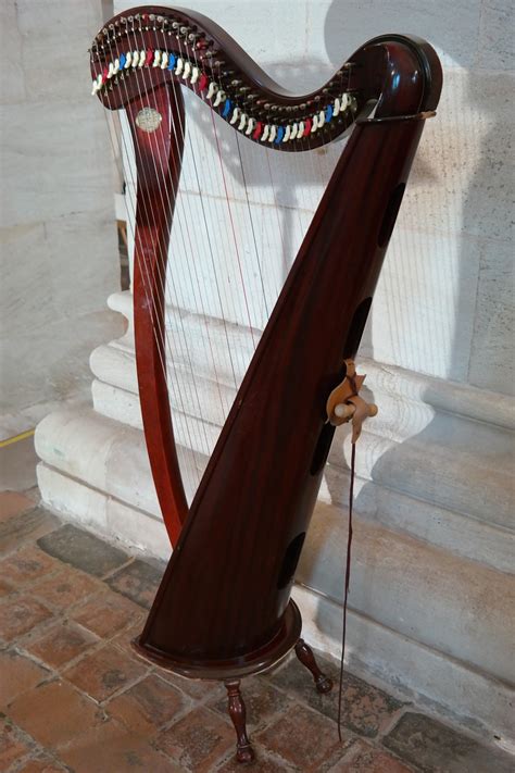 Harp,plucked string instrument,musical instrument,stringed instrument ...