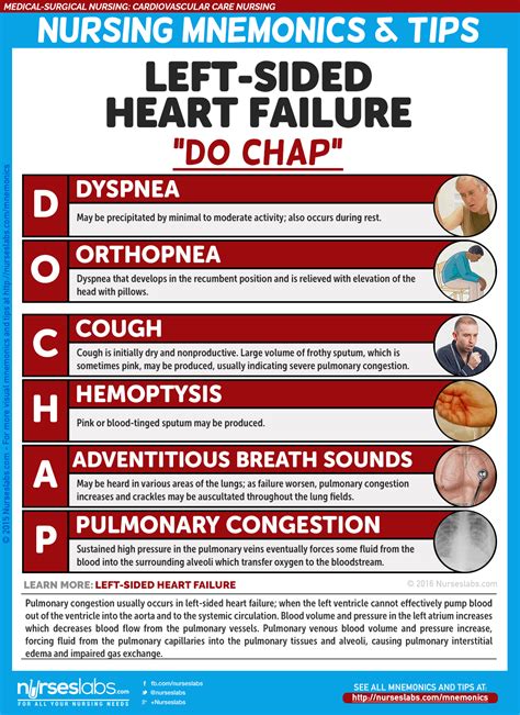 Cardiovascular Care Nursing Mnemonics and Tips - Nurseslabs