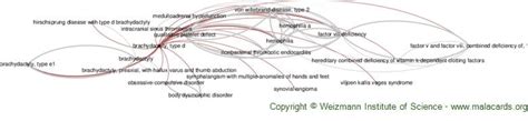 Brachydactyly, Type D disease: Malacards - Research Articles, Drugs ...