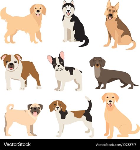 Flat style dogs collection cartoon dogs breeds Vector Image