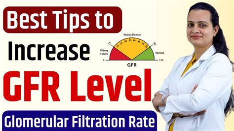 What is GFR | Symptoms of low GFR | How to Increase GFR at Home Naturally | Renal System - YouTube