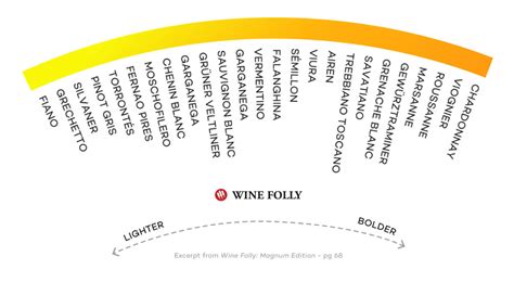 Expert Tips On Choosing Dry White Wines (Video) | D-Vino