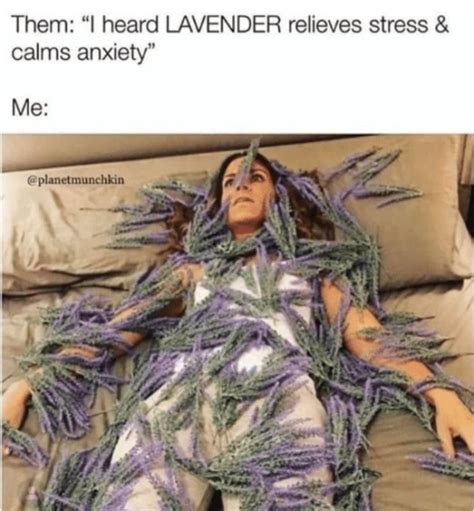 30 Memes About Stress That Will Make You Care A Bit Less - Feels ...