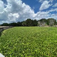 La Chua Trail & Alachua Sink - Hiking Trail in Gainesville