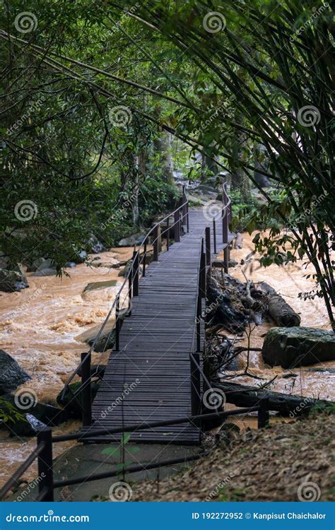 Wooden Bridge on River. Small Rustic Wooden Footbridge on Small River Stream in the Forest ...