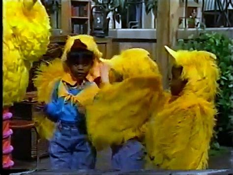 Sesame Street Monty Joins The Birdketeers - Dailymotion Video