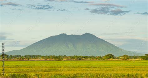 a view of Mount Arayat and it's vast rice field in the Philippines ...