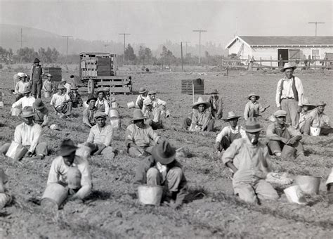 History of American Agriculture: Farm Machinery and Technology