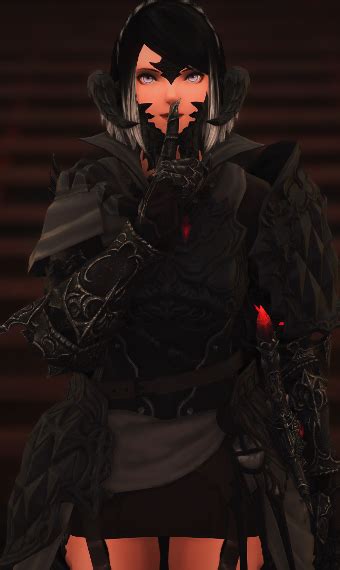 Dark Paladin | Eorzea Collection