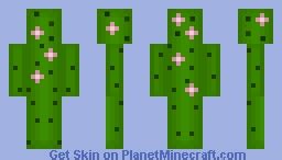 Cactus [Contest] Minecraft Skin