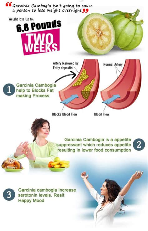 4 Insane Results From Garcinia Cambogia Pills on Weight Loss - MeVolv