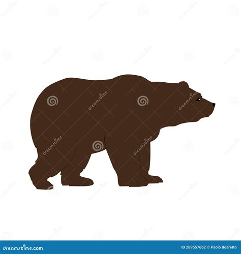 Grizzly Bear Side View Isolated, Animals and Wildlife Concept Stock Vector - Illustration of ...