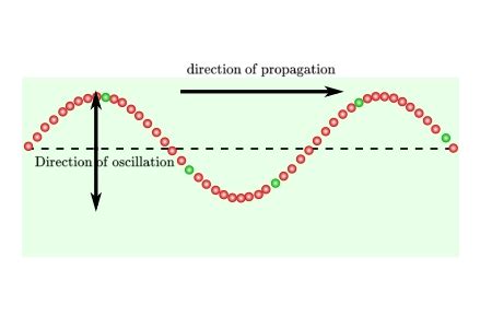 In which direction is the wave traveling compared to the oscillation, perpendicular or parallel ...