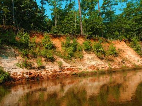 Cliffs of the Neuse State Park | NC State Parks