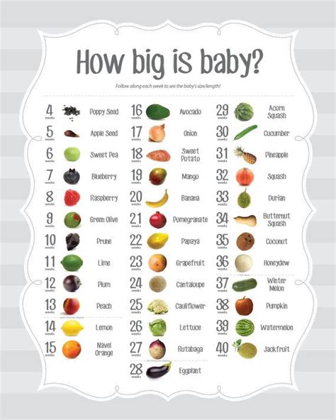 14 Weeks Pregnant Diet Chart - dexinter