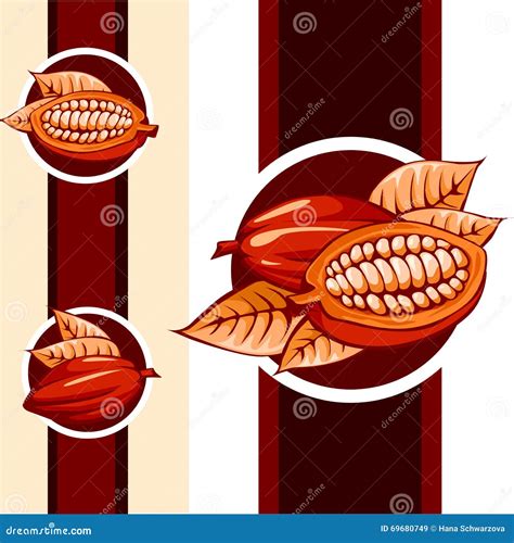 Cocoa Bean Design - Vector Illustration Stock Vector - Illustration of ...